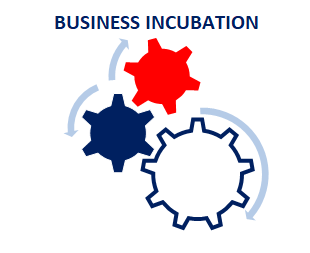 Services business incubation